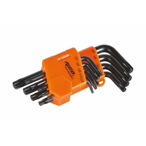 RİCO ALYAN TAKIMI 9 prç TORX - KISA - VAKUMLU RC3199